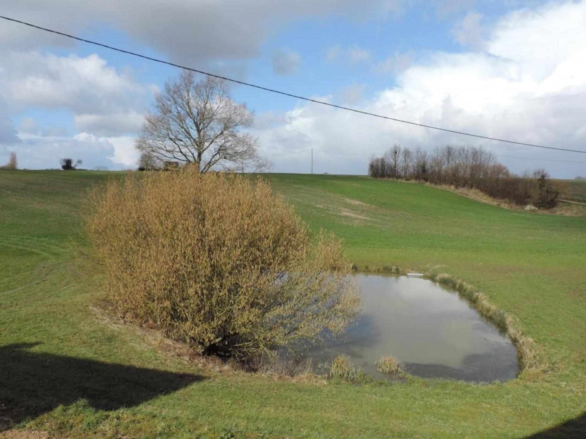 Maison De Campagne Renovee Avec Jardin Clos, Terrasse, Jeux, 5 Chambres, Et Animaux Acceptes - Fr-1-497-109 Mauves-sur-Huisne 外观 照片